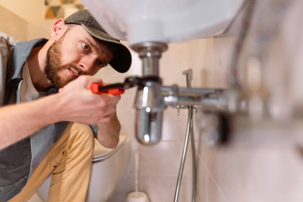 Best Clogged Drain Plumber  in Lagrange, IN